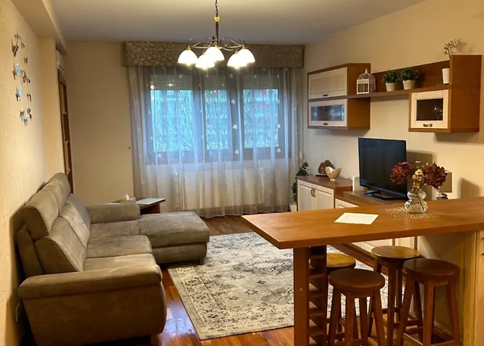 Apartment Danube Terrace Elegant With 2 Bedroom And Private Parking *