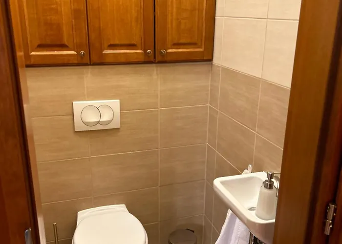 Apartment Danube Terrace Elegant With 2 Bedroom And Private Parking *