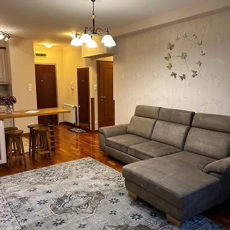 Danube Terrace Elegant With 2 Bedroom With Free Air Conditioner And Private Parking * Budapest